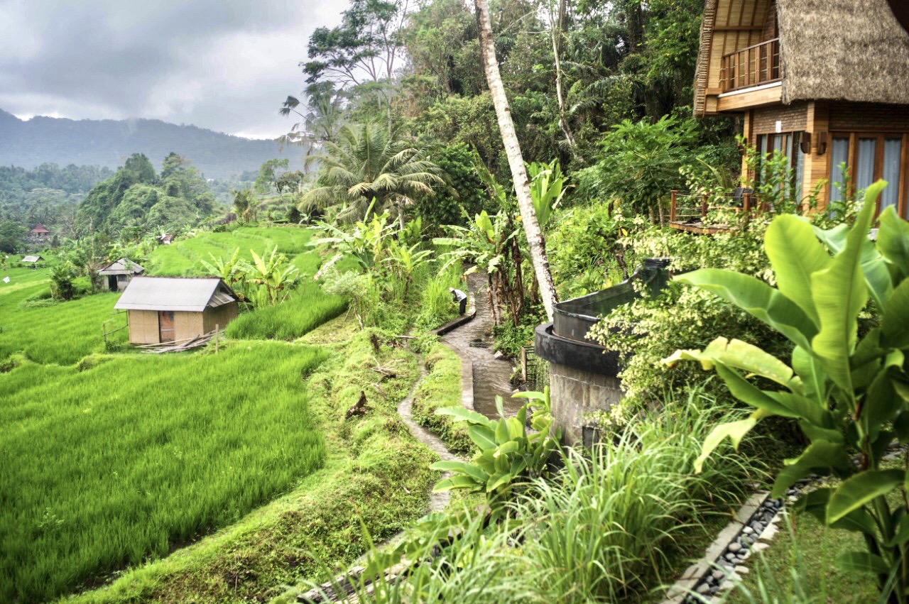 LVSidemen36  |  Indo Investments